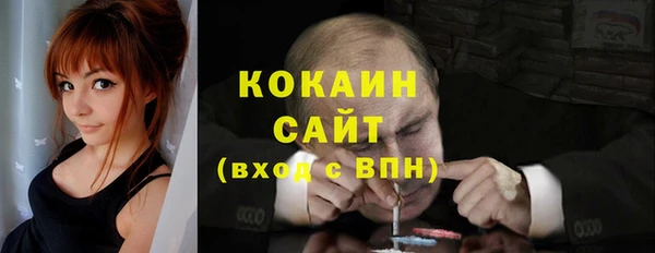индика Балабаново