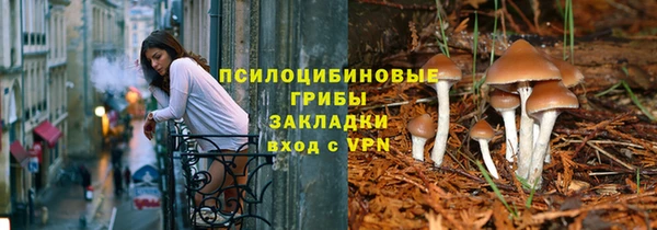 индика Балабаново