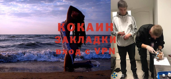индика Балабаново
