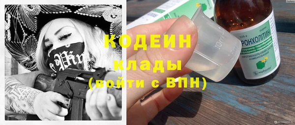 индика Лихославль