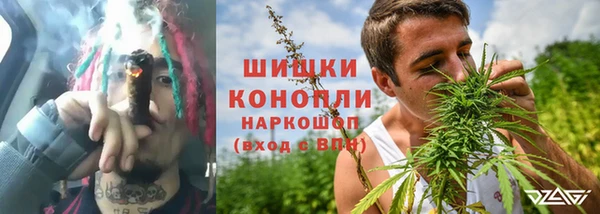 индика Балабаново