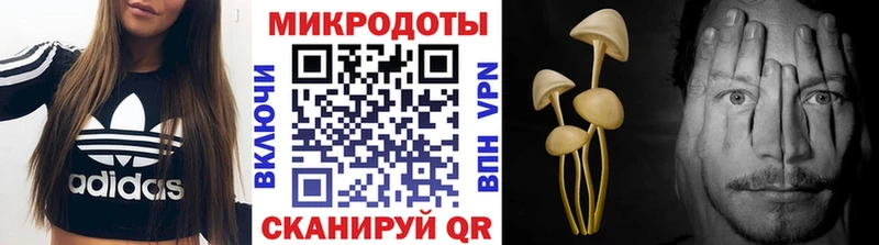 Галлюциногенные грибы мухоморы  Реж 